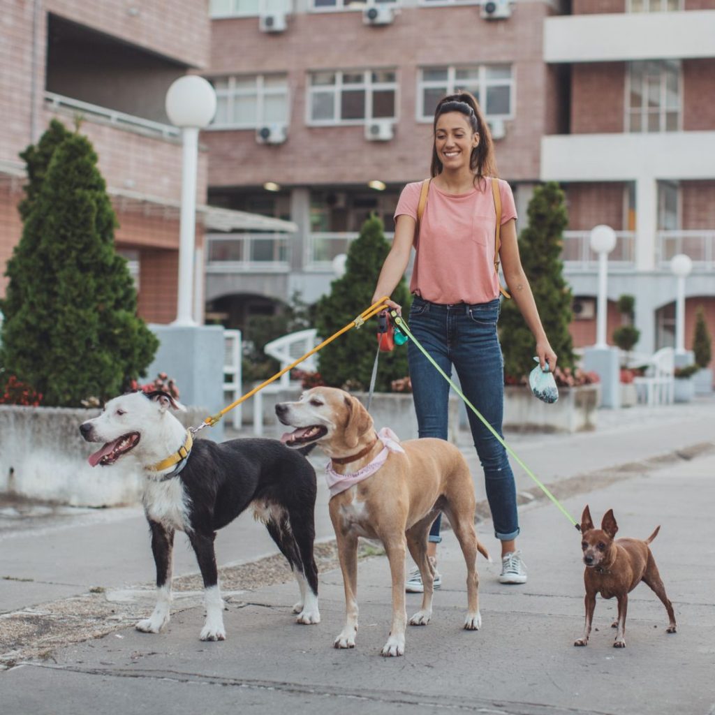 Dog Sitter Sicura Sociale